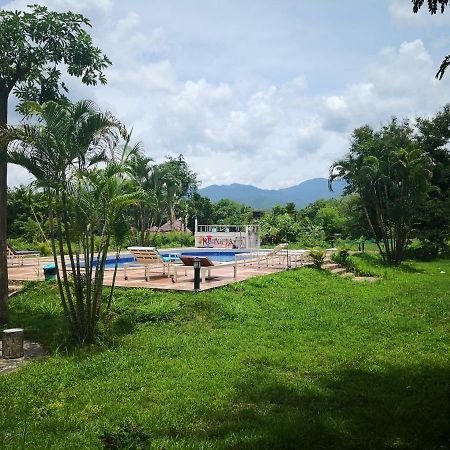 Paitopia Luaran gambar