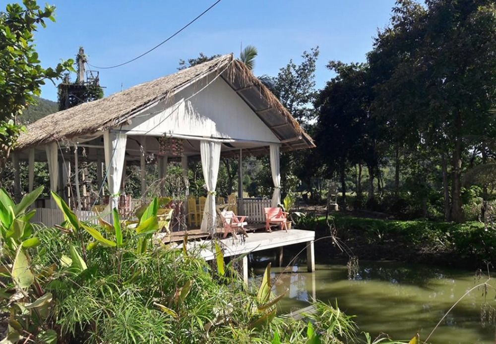 Paitopia Luaran gambar