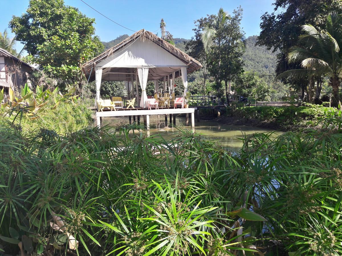 Paitopia Luaran gambar