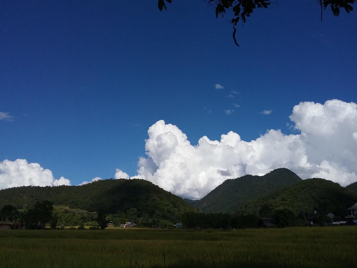 Paitopia Luaran gambar