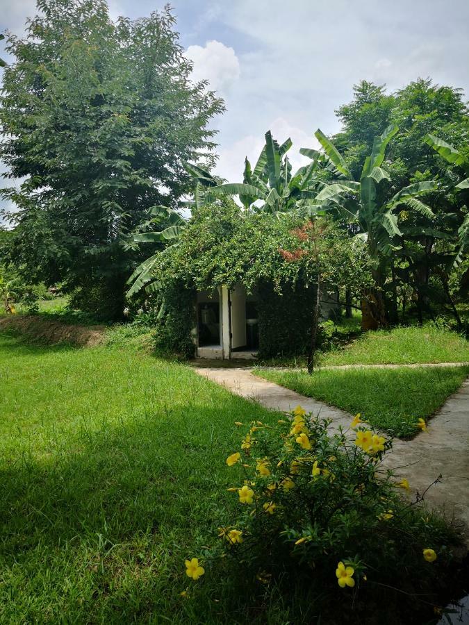 Paitopia Luaran gambar